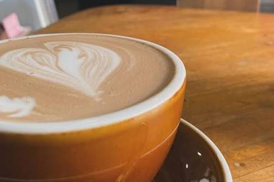 MOCACCHINO