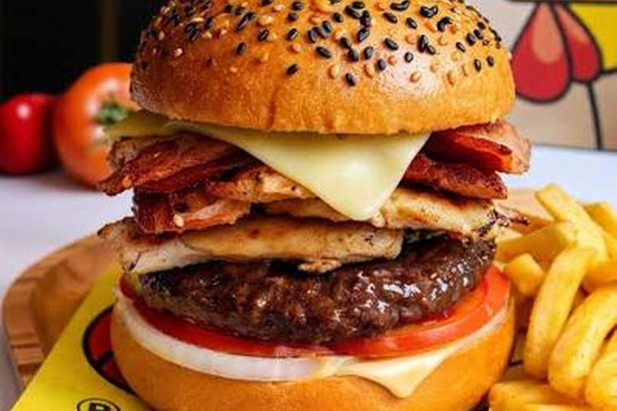 HAMBURGUESA ESPECIAL MIXTA CARNE Y POLLO DEL PINCHO