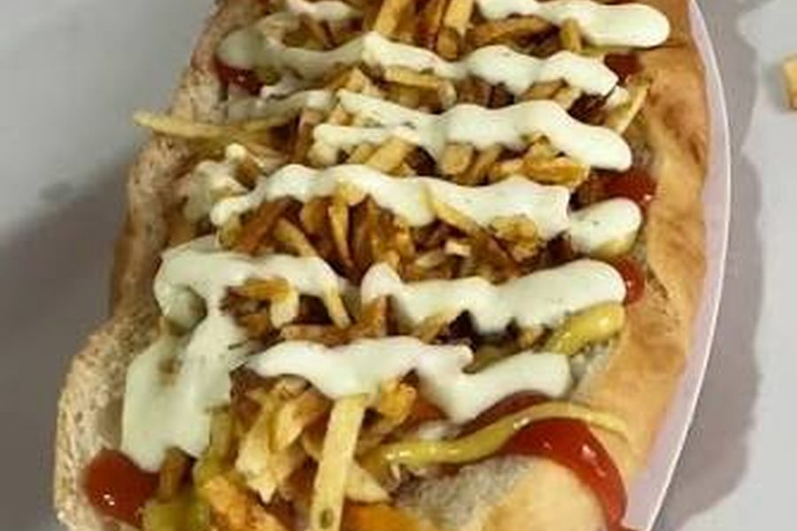 PERRO MIXTO